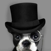 Avatar for ProfNiedermeier