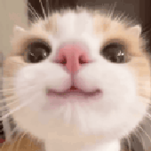 Avatar for ewtf
