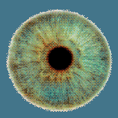 Avatar di zeile