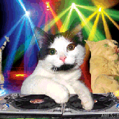 Avatar for CyberKatt