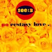 No Ecstasy Love