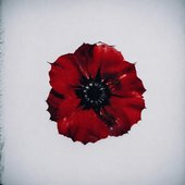 Червоний мак - Single