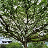 simplify capa.jpeg