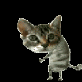 Avatar for dde_