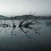 Wolves & Horses - Every Moment of Light & Dark (W2).jpg
