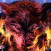 Avatar for Iorak