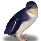 Avatar de Holmsen