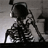 Avatar for displaced-