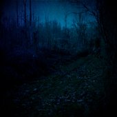 Music to Feel Lonely To