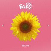 Echoes of Echo