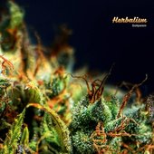Herbalism