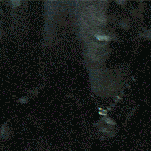 Avatar di F0wlie