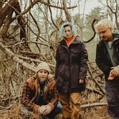In the woods
