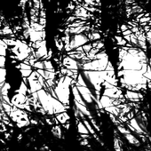 0041475093_0.png