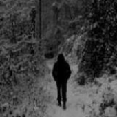 Avatar for RobertHalford