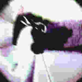 Avatar for Niightmp