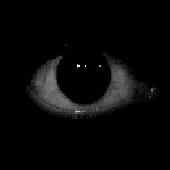 Avatar for Glowing_Soul