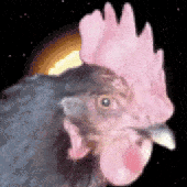 Avatar for Kippenbout