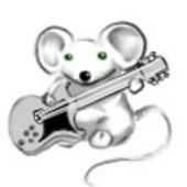 Avatar for strngkmlon