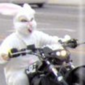 black-rabbit44 için avatar