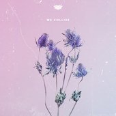 We Collide - Single
