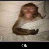 Avatar für magawd
