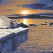 Sunset Dream - Single