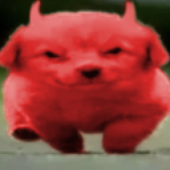 Avatar for squidee_