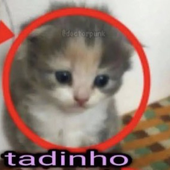 Avatar di twentypdragons
