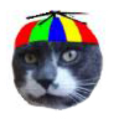 Avatar für Fr0gg0