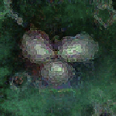 Avatar for b0bthebl0b