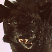 Avatar for ellvind