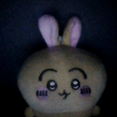 Avatar for mangolico