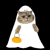 Awatar dla yisus_adrian