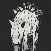 La hiena - hyena