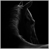 Avatar for m4gnumnet