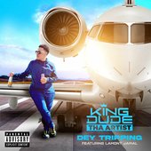 DEY TRIPPING (feat. LAMONT JAMAL) - Single