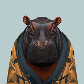 Avatar for wrtooo
