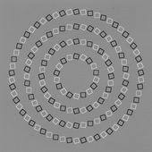 PhallicPasta için avatar