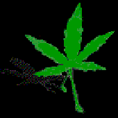 Avatar for sadirvan