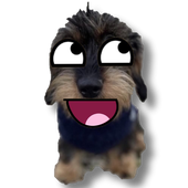 Avatar di unkzo_o