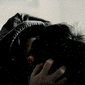 Wonderfuday için avatar