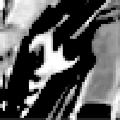 Avatar for CamelE24