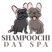 Avatar for Shampoo65