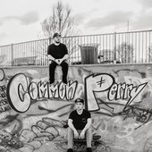 skatepark