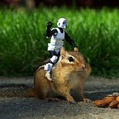 Avatar di chipmunkilla