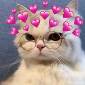 Avatar für dustyyyyyy