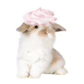 Avatar for mini