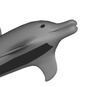dolphin.jpg
