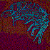 Avatar for imkea